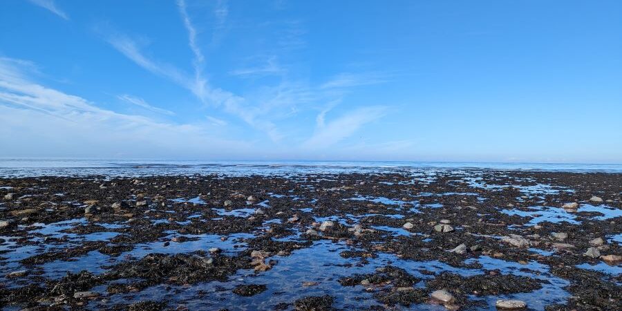 Aberaeron Beach