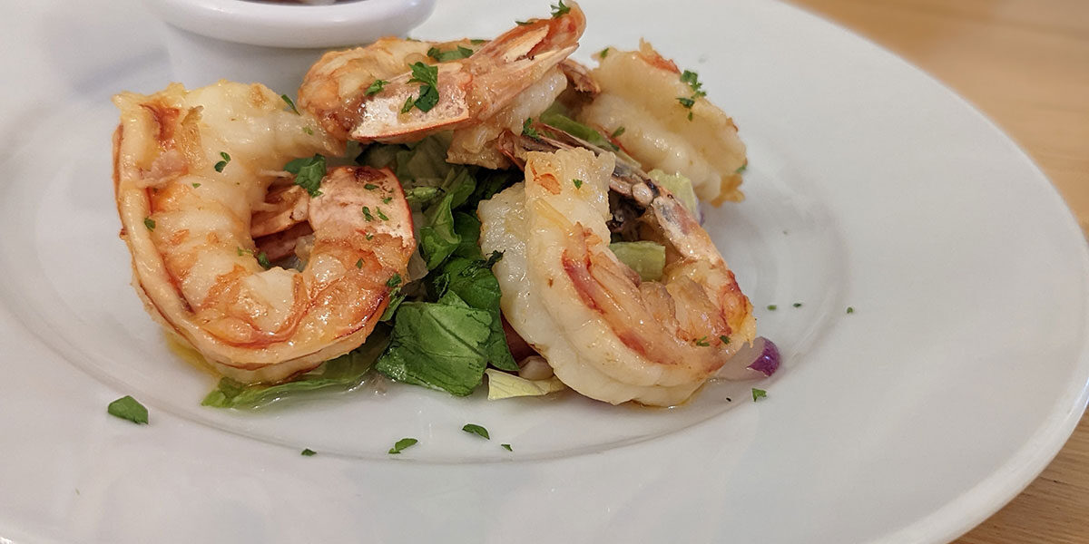 Daffodil-at-Penrhiwllan Daffodil at Penrhiwllan